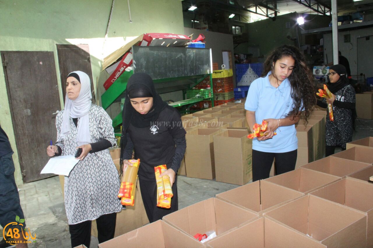 torody second marl7ala (7).jpg